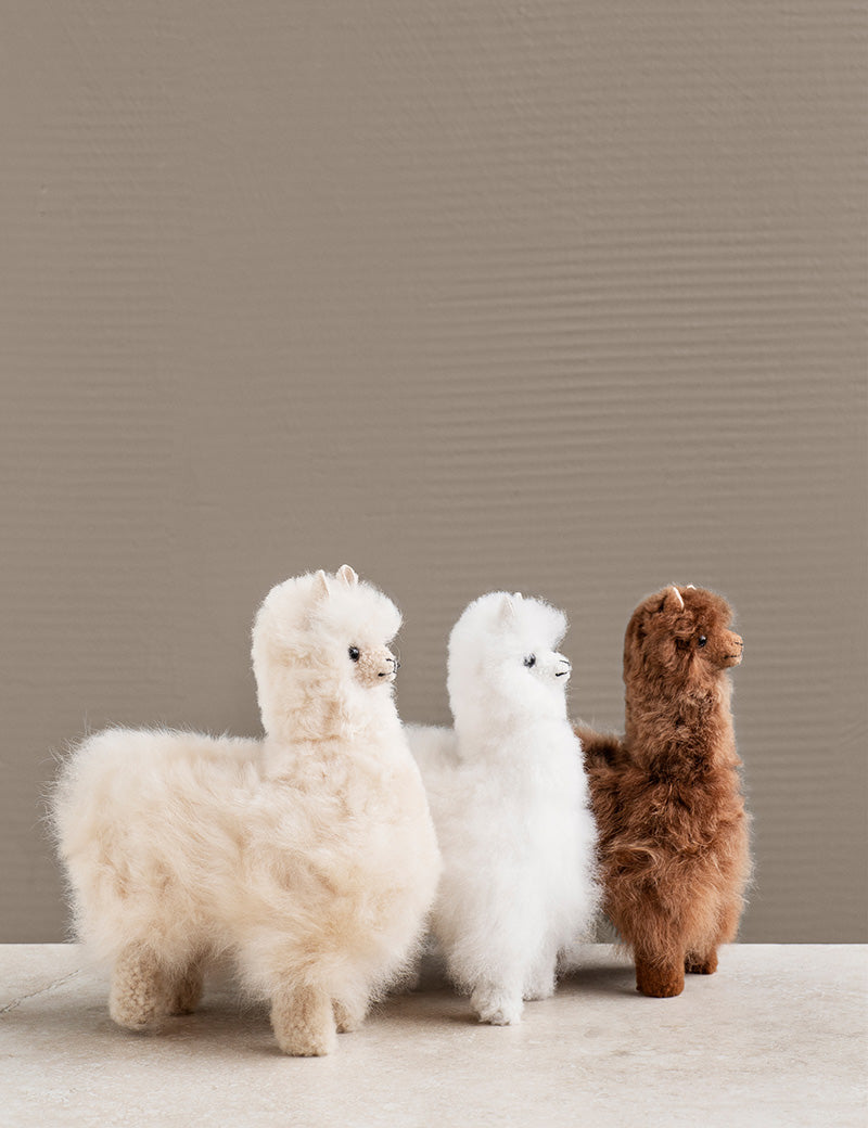 Alpaca Teddy – ELVANG JAPAN