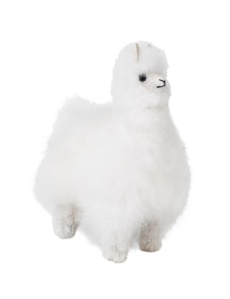 Alpaca Teddy – ELVANG JAPAN