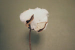 Elvang Denmark Lyme Grass cushion 50 x 50 cm Cushion